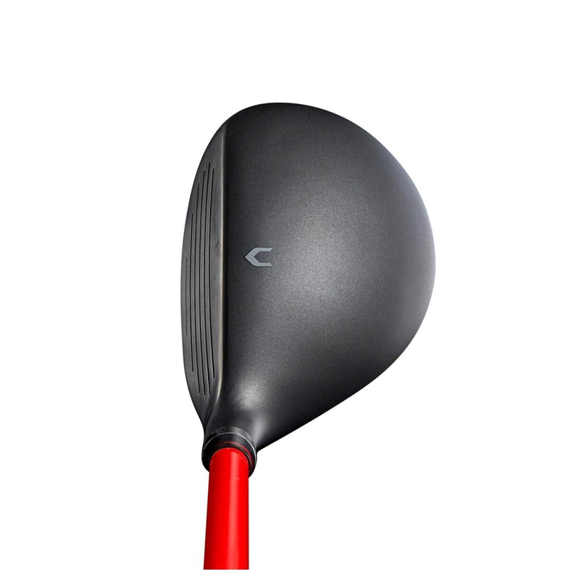 Wilson D300 Super Light Hybrid Golf Club R/H 3 Reg - Golf Gift