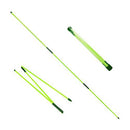 Eshan Golf Alignment Sticks 2 Pack Swing Training Aid Equipment Collapsible Trainer Practice Rods Posture Corrector in Handy Storage Tube Case for Men Women Golfer Swinging (MintGreen)