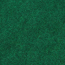 PUTT-A-BOUT Grassroots Par Three Golf Putting Green (9-feet x 3-feet)