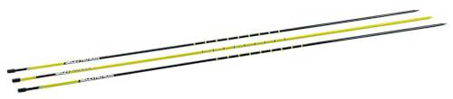 SKLZ Pro Rods Golf Trainer,Yellow and Black,1 Size(48' high rods)